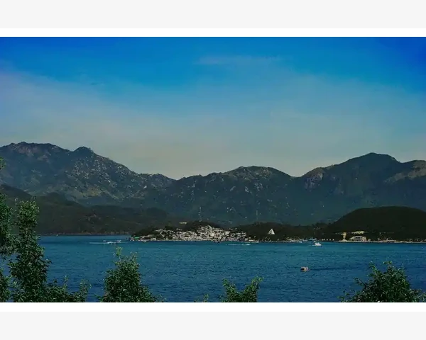 清肺茶：呵护健康，远离肺部疾病的优秀选择