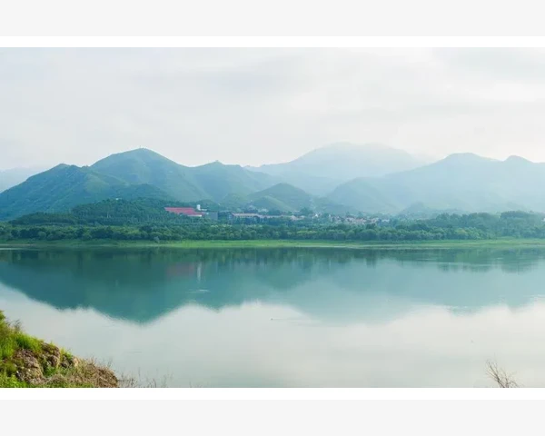 孕妇风寒止咳化痰：中医的温馨关怀